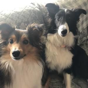 Meet your Posher, Sally